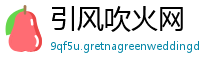 引风吹火网